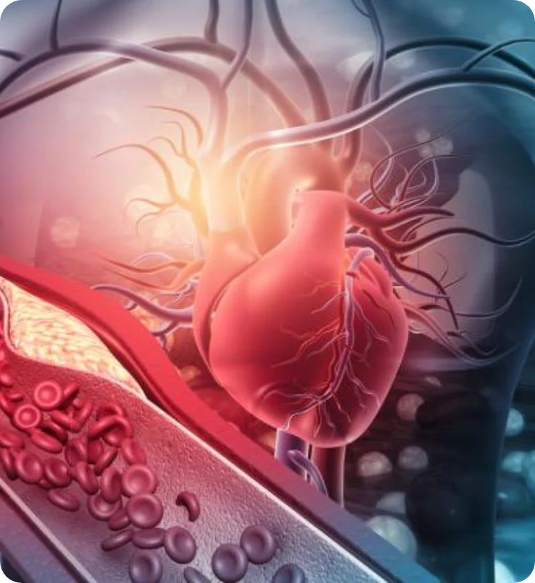 Lower LDL Cholesterol & Triglycerides in 3 Weeks!