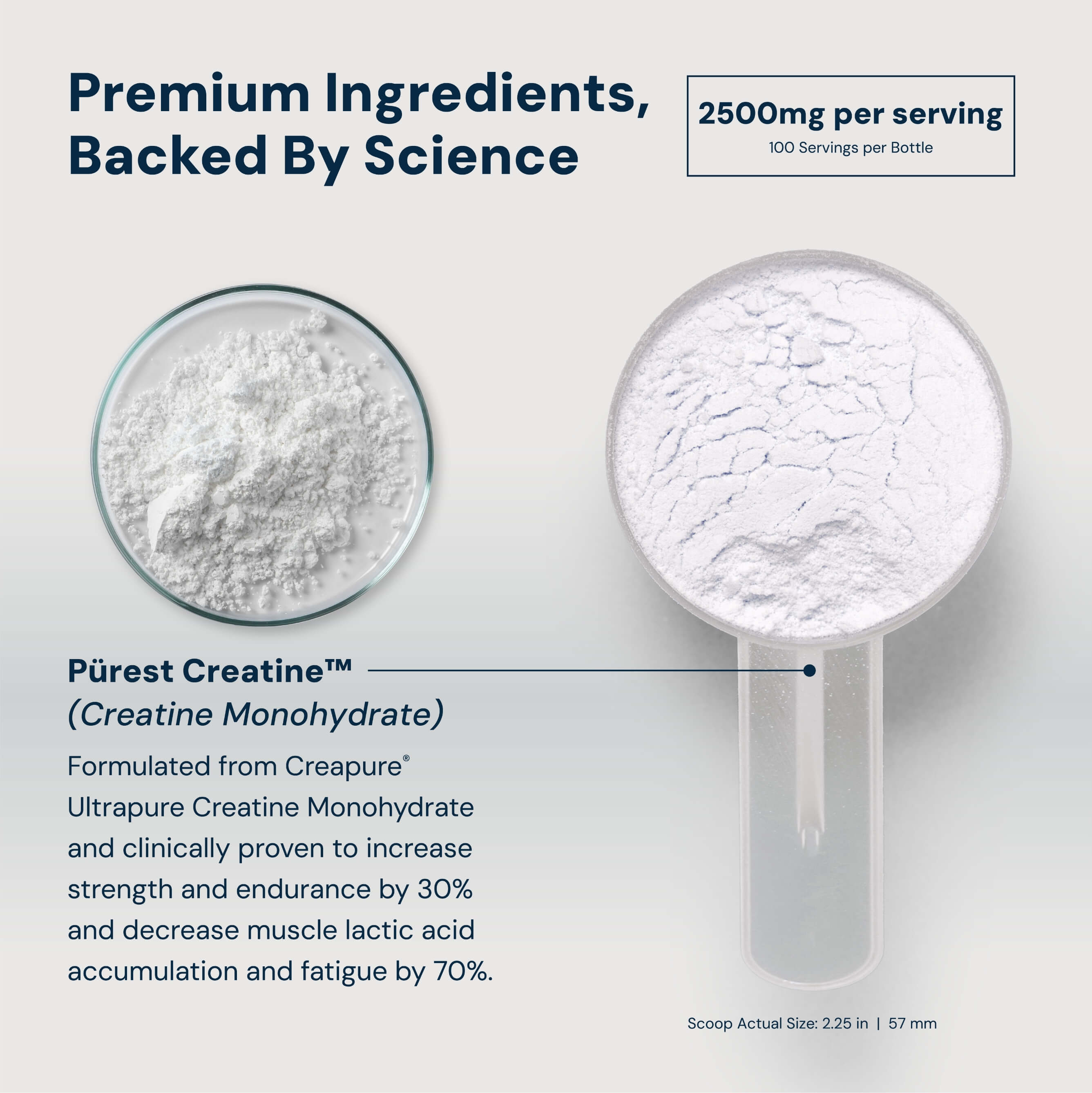 C2 Pürest Creatine™