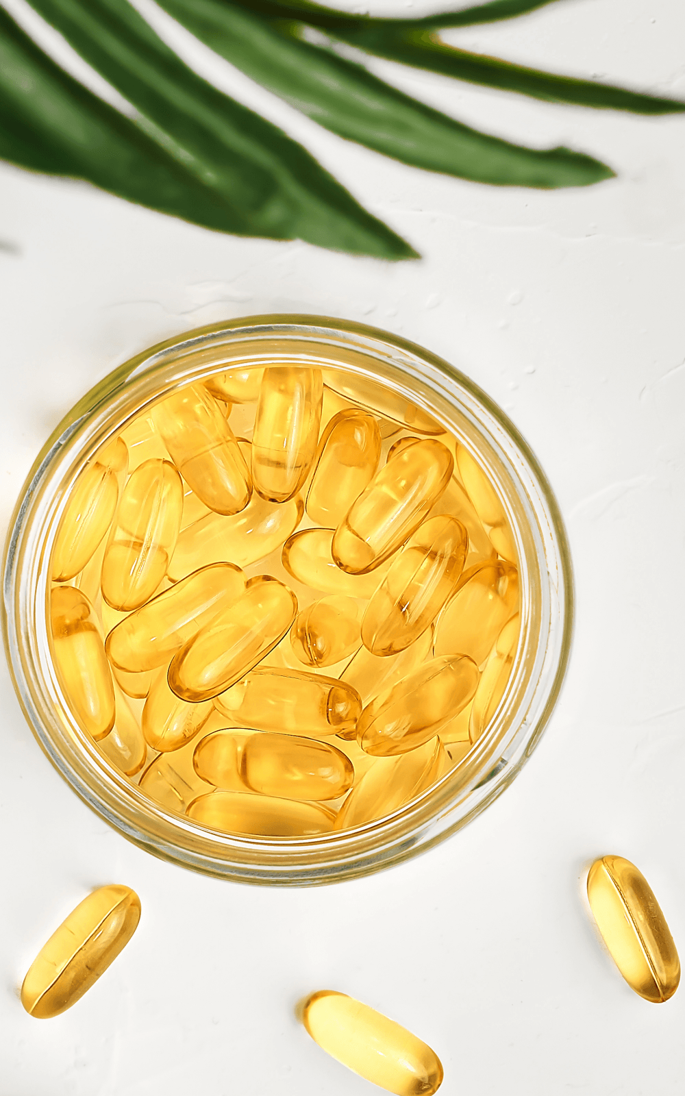 N4 Fish Oil